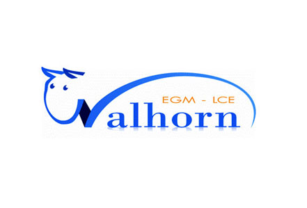 Walhorn A.G